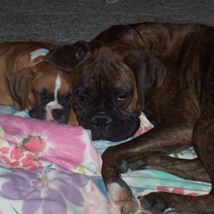 Sleepy_Babies