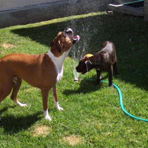 Having Fun!
