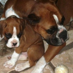 My baby Bo and her mom Arden