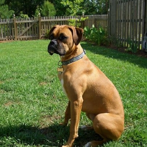 Sitting Pretty