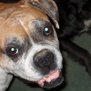 Lucy at ELEVEN