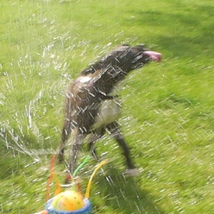 STAYING COOL