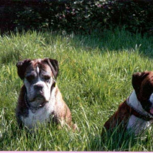 Sam & Skye