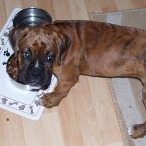 Dinner time