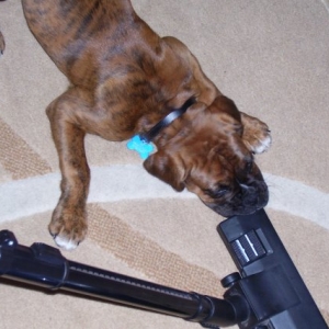 hoover_time_1