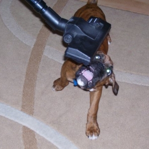 hoover_time_2