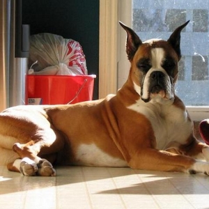 Enjoying the Morning Sun