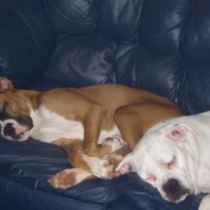 Sleeping Beauties