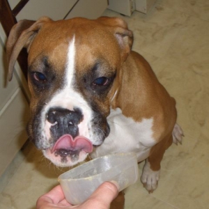 Peanut Butter Love