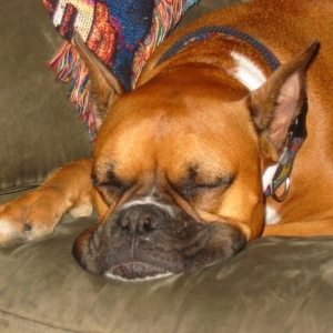 Angel sleeping