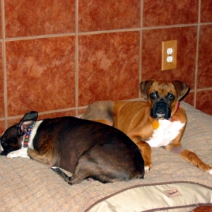 Mia & Bea