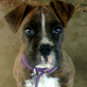 15 weeks old