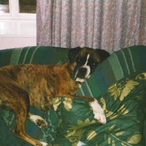 Sam