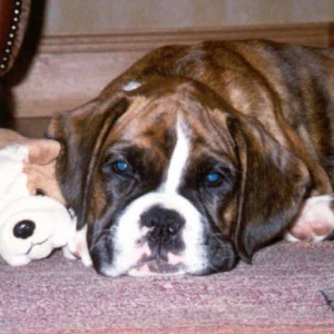 Skye & squodge