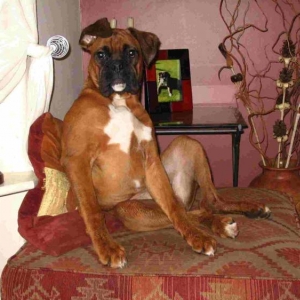 Mac at 7 months