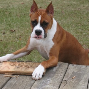 ZoeyDeck