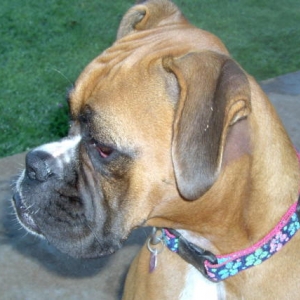 Layla up close
