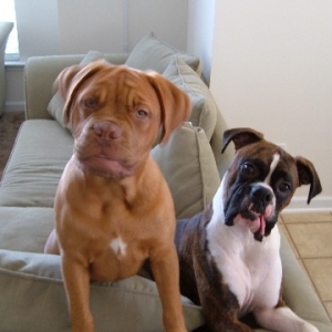 Cayman and Olivia