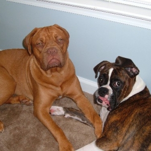 Lounging around...