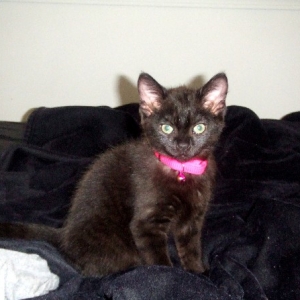 Pretty Onyx