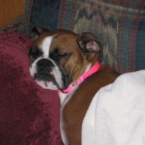 Sleeping