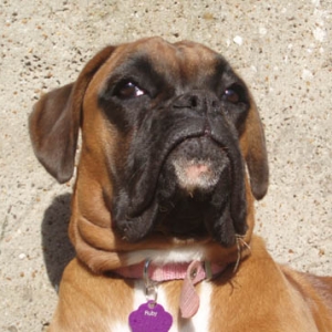 Ruby_8_5_months