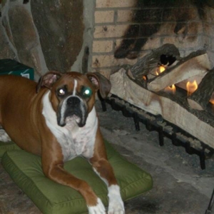 Jfire