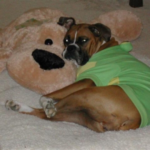 Jfrog