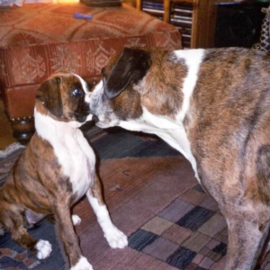 Sam and Skye