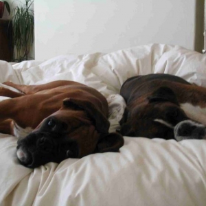 Bedtime
