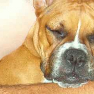 Sleepy head