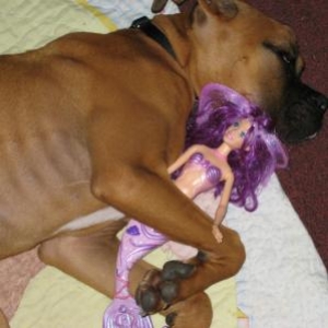 Bruno_Barbie