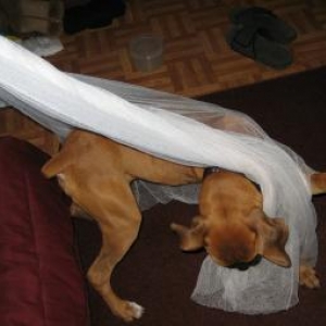 BrunoPlayin