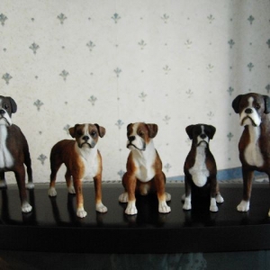 Bruno's family