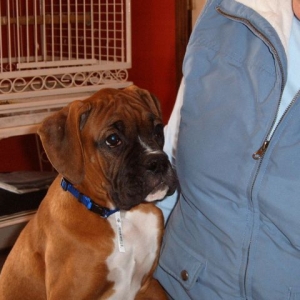 Cornelius with his breeder