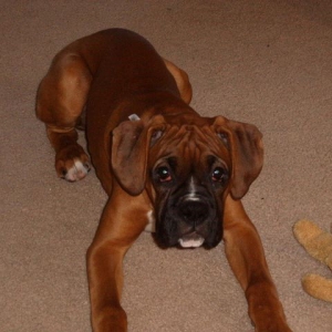 at 14 weeks