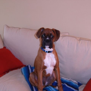 at 7 months