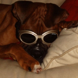 Mr. Cool