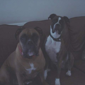 Hummer & Dempsey