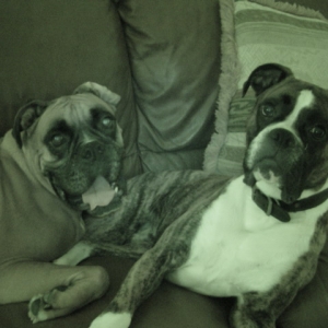 Hummer & Dempsey "Night Vision"