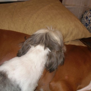 Cookie and Xander