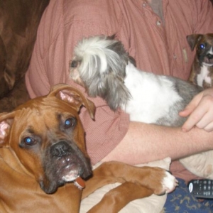 Daddy and his babies