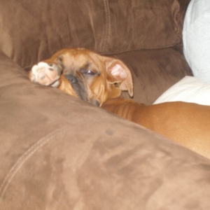Lazy Bum.....