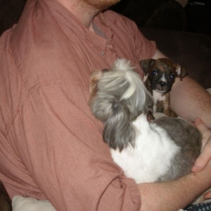 Daddy's Girls