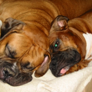 my boys