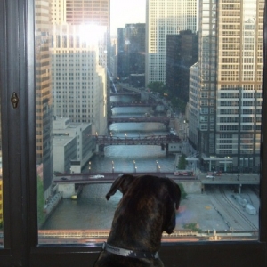 First City visit