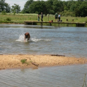 Like a Fish