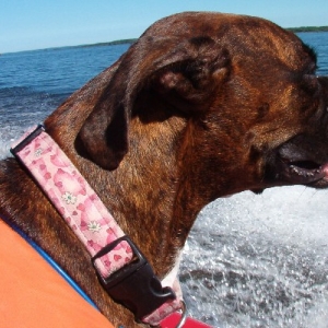 DaisyDuke