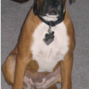 Roxy
