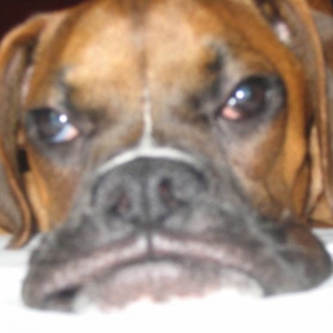 what a face